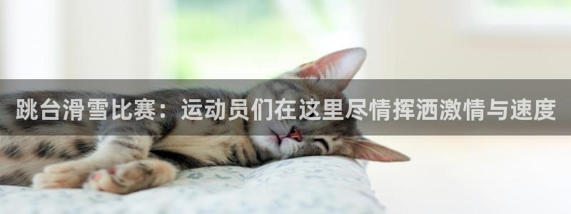 海南意昂5(KGAME)体育：跳台滑雪比赛：运动员们在这里尽