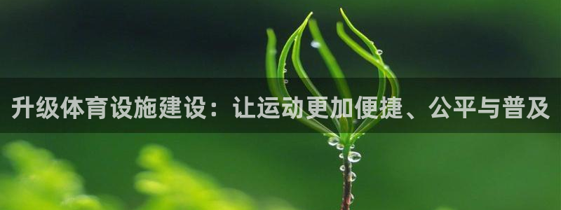 意昂5(KGAME)体育平台注册要钱吗安全吗：升级体