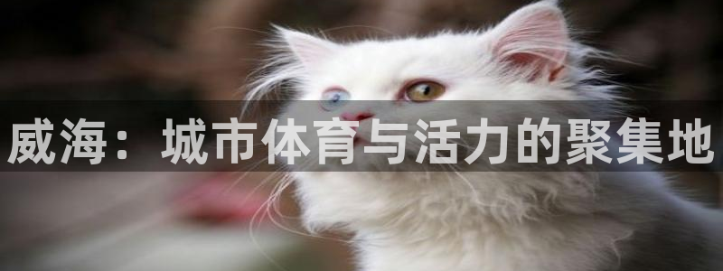 意昂5(KGAME)体育平台注册：威海：城市体育与活力的聚集