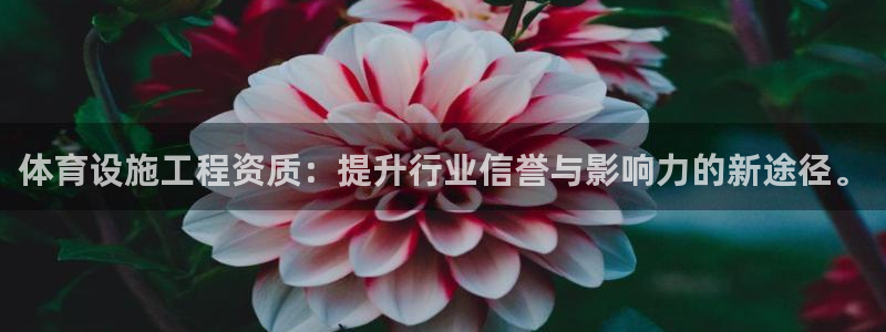 海南意昂5(KGAME)体育发展怎么样：体育设施工程资质：提 