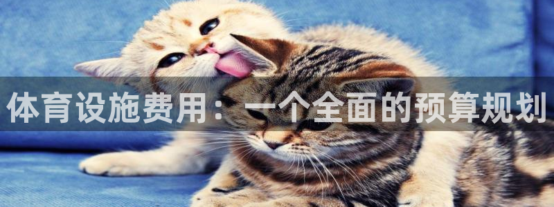 意昂5(KGAME)体育娱乐：体育设施费用：一个全面的预算规