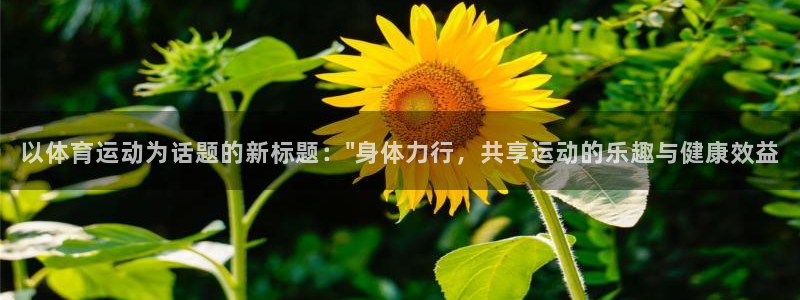 球客岛
