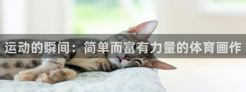球客岛