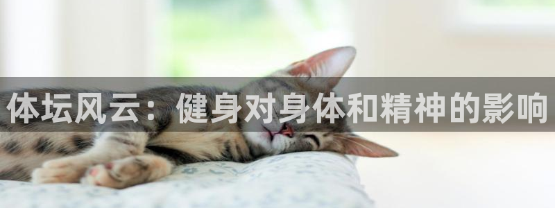 球客岛