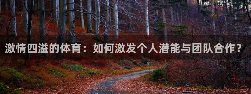 球客岛