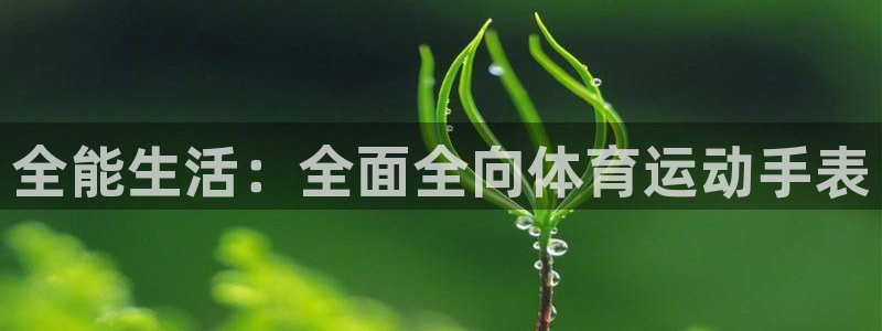 球客岛