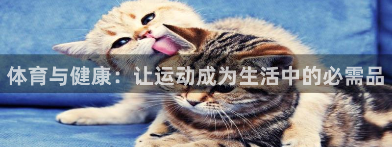 球客岛