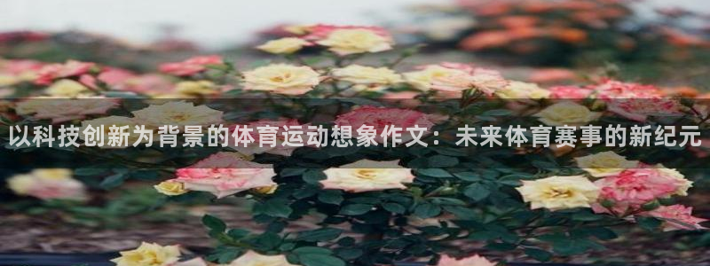 球客岛