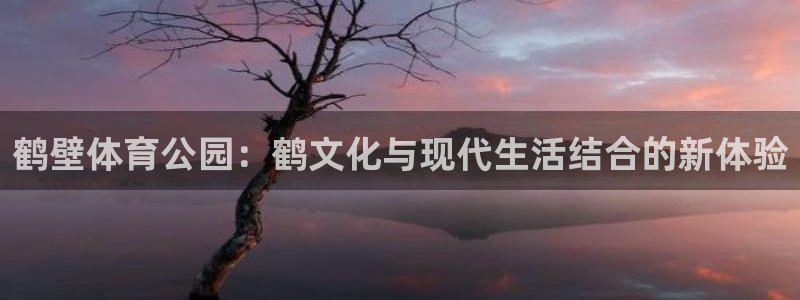 球客岛