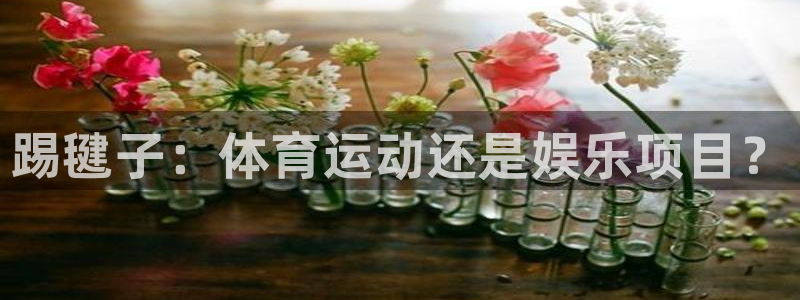 球客岛